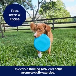Frisco Fetch Rubber Flyer Dog Toy 6 Frisco Fetch Rubber Flyer Dog Toy -Frisco 152848 PT5. AC SS1800 V1692370079