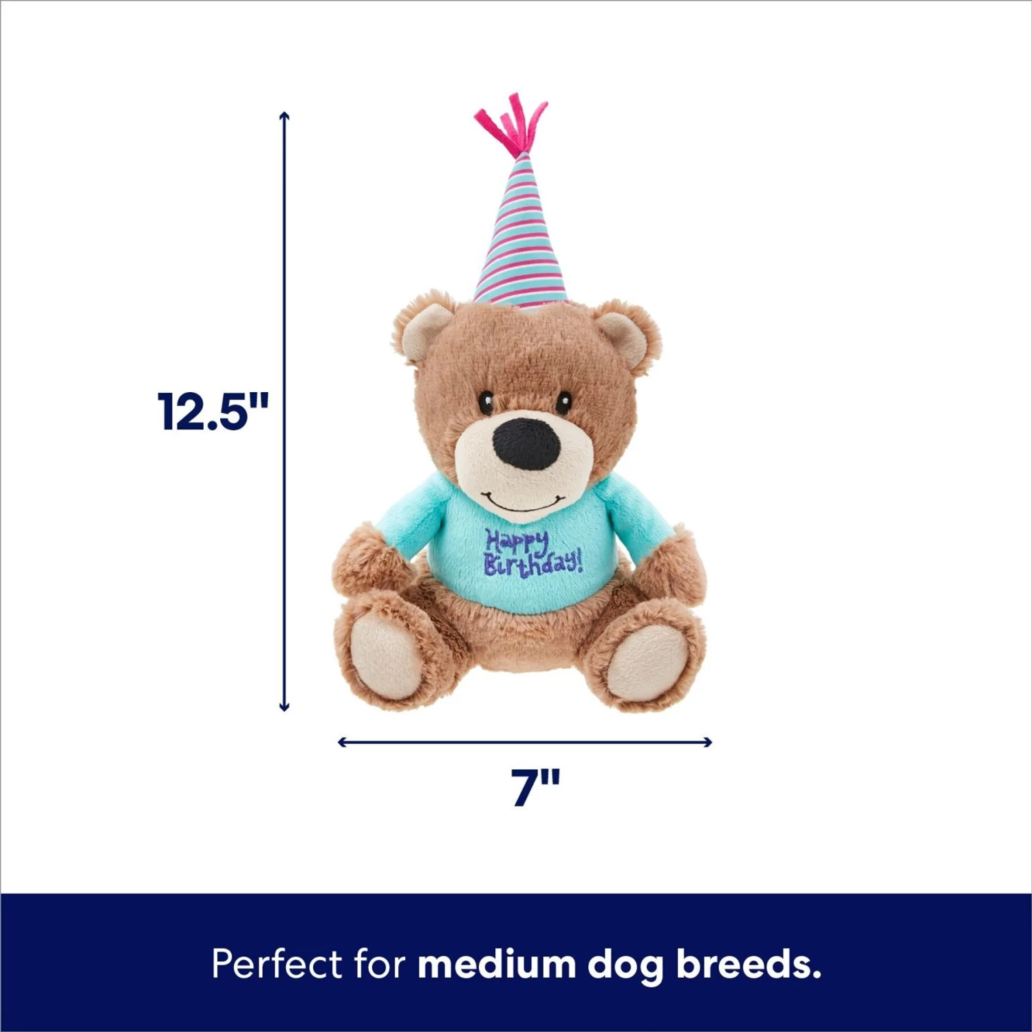 Frisco Birthday Bear Plush Squeaky Dog Toy 2 Frisco Birthday Bear Plush Squeaky Dog Toy - Image 2