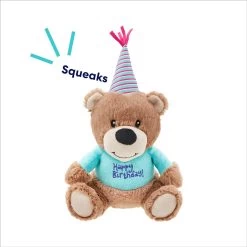 Frisco Birthday Bear Plush Squeaky Dog Toy 8 Frisco Birthday Bear Plush Squeaky Dog Toy -Frisco 162836 PT2. AC SS1800 V1695659146
