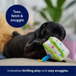 Frisco Birthday Cake Slice Plush Squeaky Dog Toy 10 Frisco Birthday Cake Slice Plush Squeaky Dog Toy -Frisco 162906 PT4. AC SS1800 V1695671059