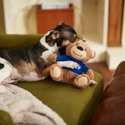 Frisco Chewy Bear Plush Squeaky Dog Toy 5 Frisco Chewy Bear Plush Squeaky Dog Toy -Frisco 164312 PT3. AC SS1800 V1600973456