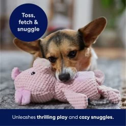 Frisco Pig Textured Plush Squeaky Dog Toy -Frisco 174695 PT4. AC SS1800 V1695670689