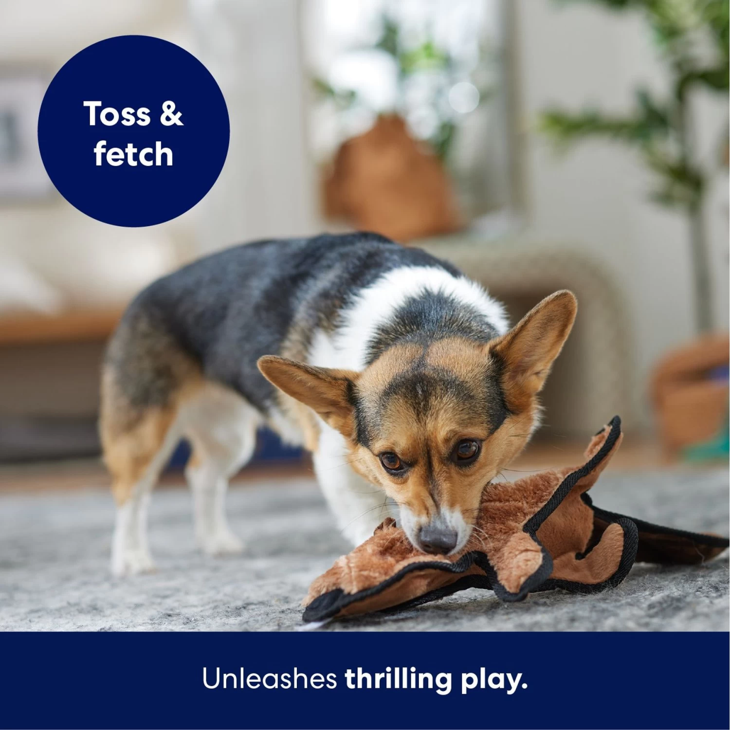 Frisco Beaver Stuffing-Free Flat Plush Squeaky Dog Toy 5 Frisco Beaver Stuffing-Free Flat Plush Squeaky Dog Toy - Image 5