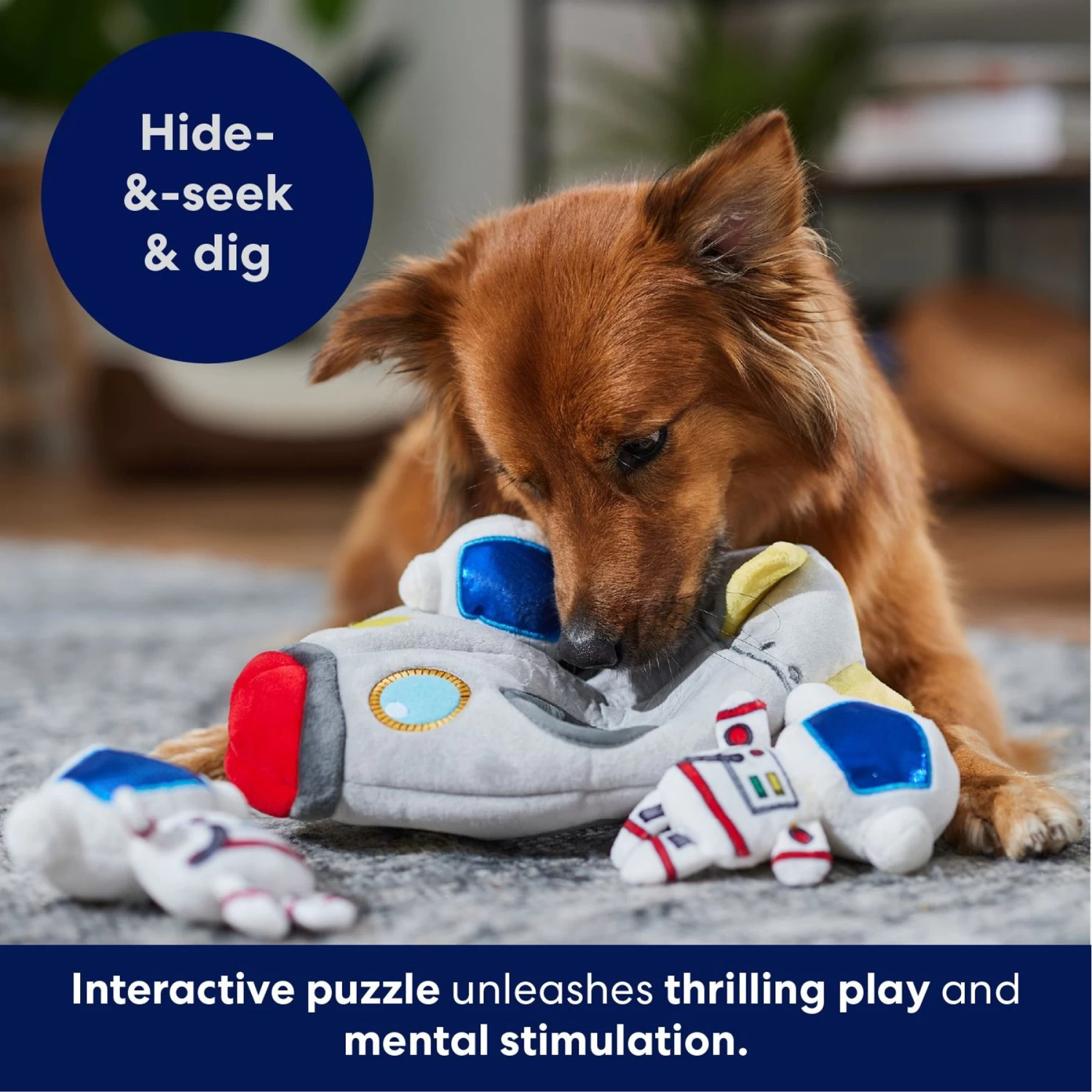 Frisco Rocket Ship Hide & Seek Puzzle Plush Squeaky Dog Toy 5 Frisco Rocket Ship Hide & Seek Puzzle Plush Squeaky Dog Toy - Image 5