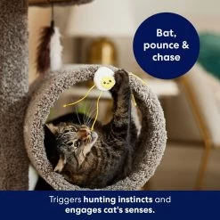 Frisco Plush Dangly Egg Buddy Cat Toy With Catnip 8 Frisco Plush Dangly Egg Buddy Cat Toy With Catnip -Frisco 213844 PT5. AC SS1800 V1691784029