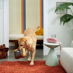 Frisco Retro Television Ballistic Nylon Plush Squeaky Dog Toy -Frisco 230308 PT3. AC SS1800 V1601947325