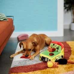 Frisco Retro Smack-a-Squirrel Hide & Seek Puzzle Plush Squeaky Dog Toy 7 Frisco Retro Smack-a-Squirrel Hide & Seek Puzzle Plush Squeaky Dog Toy -Frisco 230313 PT3. AC SS1800 V1601947334