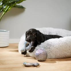 Frisco Retro Plush Squeaky Disco Dog Toy -Frisco 230349 PT3. AC SS1800 V1600973789