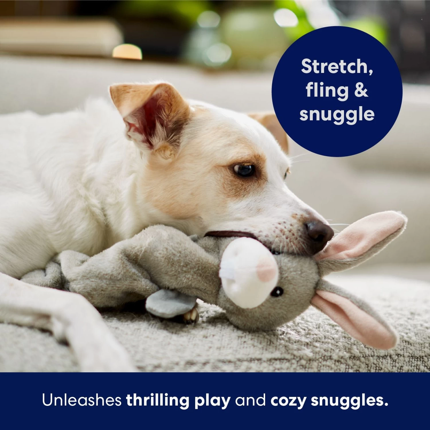 Frisco Bunny Bungee Plush Squeaky Dog Toy 5 Frisco Bunny Bungee Plush Squeaky Dog Toy - Image 5