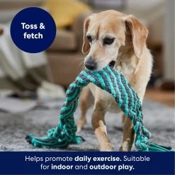 Frisco Flat Teal & Gray Braided Rope Squeaky Fetch Dog Toy 8 Frisco Flat Teal & Gray Braided Rope Squeaky Fetch Dog Toy -Frisco 242127 PT3. AC SS1800 V1695242179