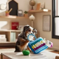 Frisco Back To School Lunchbox With Juice & Apple Plush With Rope Squeaky Dog Toy 5 Frisco Back To School Lunchbox With Juice & Apple Plush With Rope Squeaky Dog Toy -Frisco 279427 PT3. AC SS1800 V1628191372