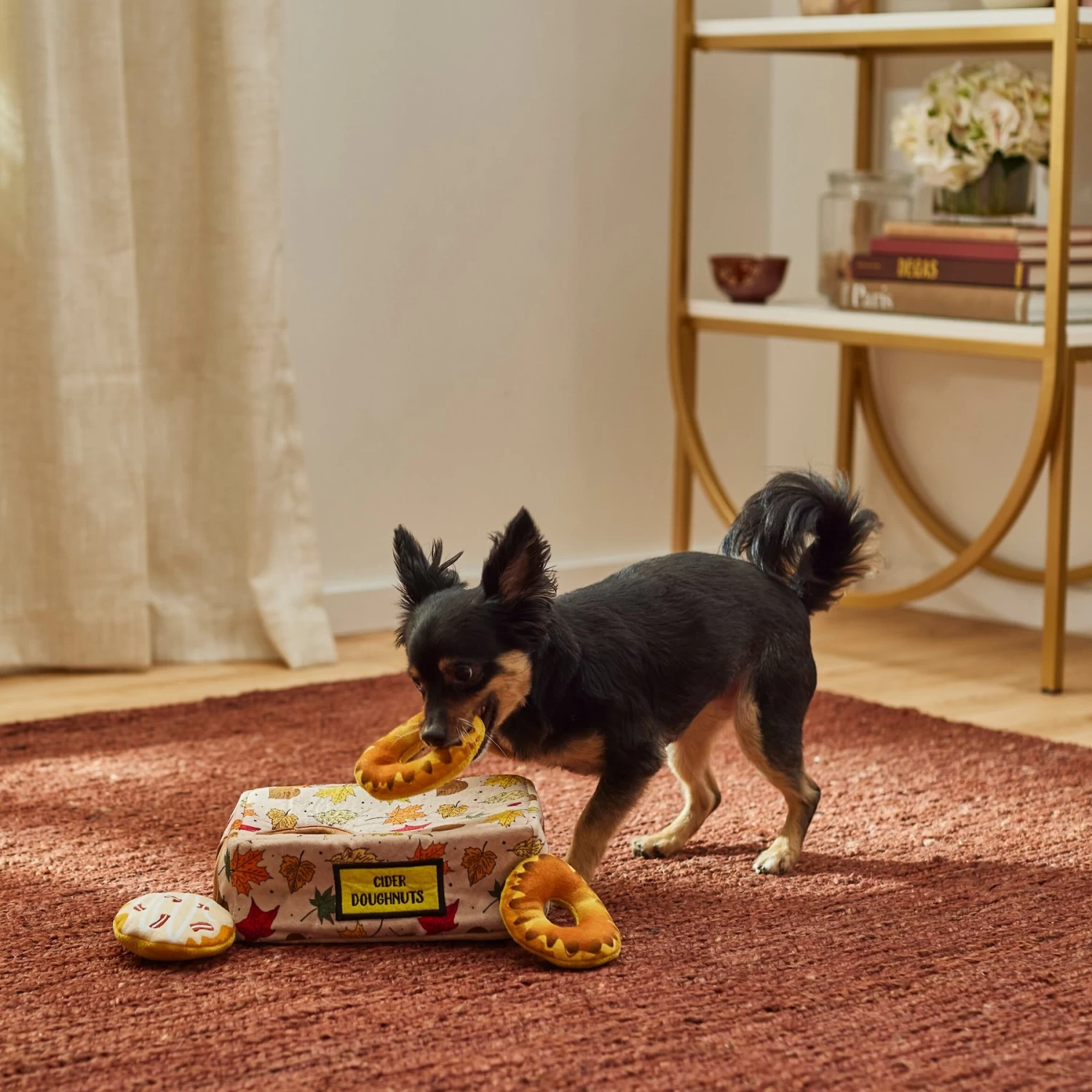 Frisco Fall Box Of Donuts Hide & Seek Puzzle Plush Squeaky Dog Toy 4 Frisco Fall Box Of Donuts Hide & Seek Puzzle Plush Squeaky Dog Toy - Image 4