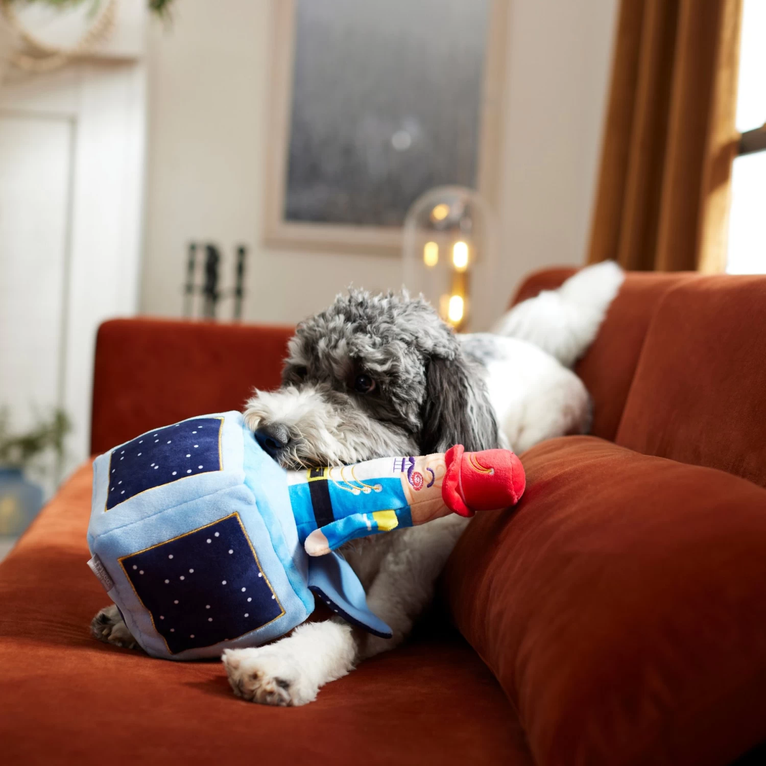 Frisco Nutcracker-in-a-Box Plush Squeaky Dog Toy 3 Frisco Nutcracker-in-a-Box Plush Squeaky Dog Toy - Image 3