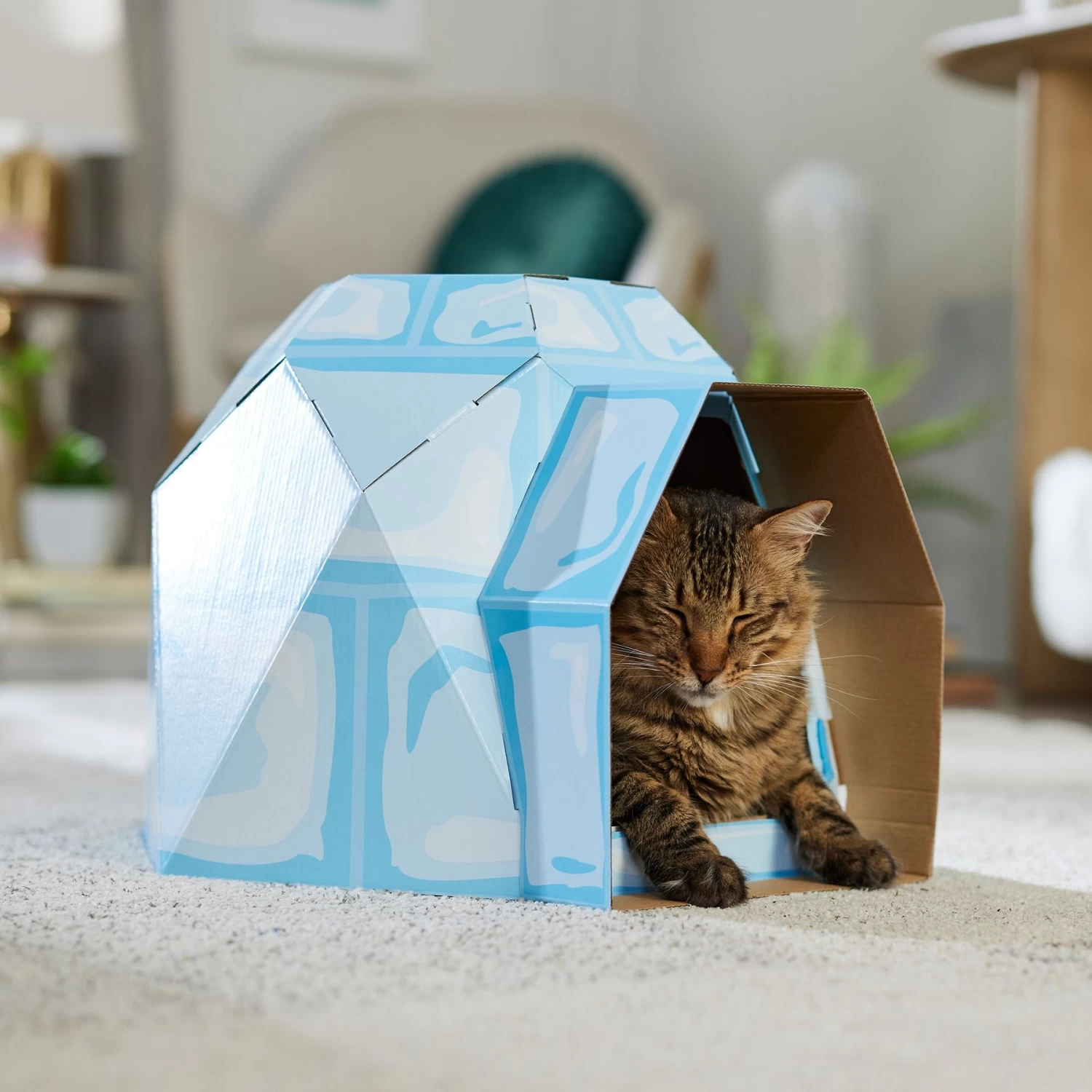 Frisco Igloo Cardboard Cat House 5 Frisco Igloo Cardboard Cat House - Image 5