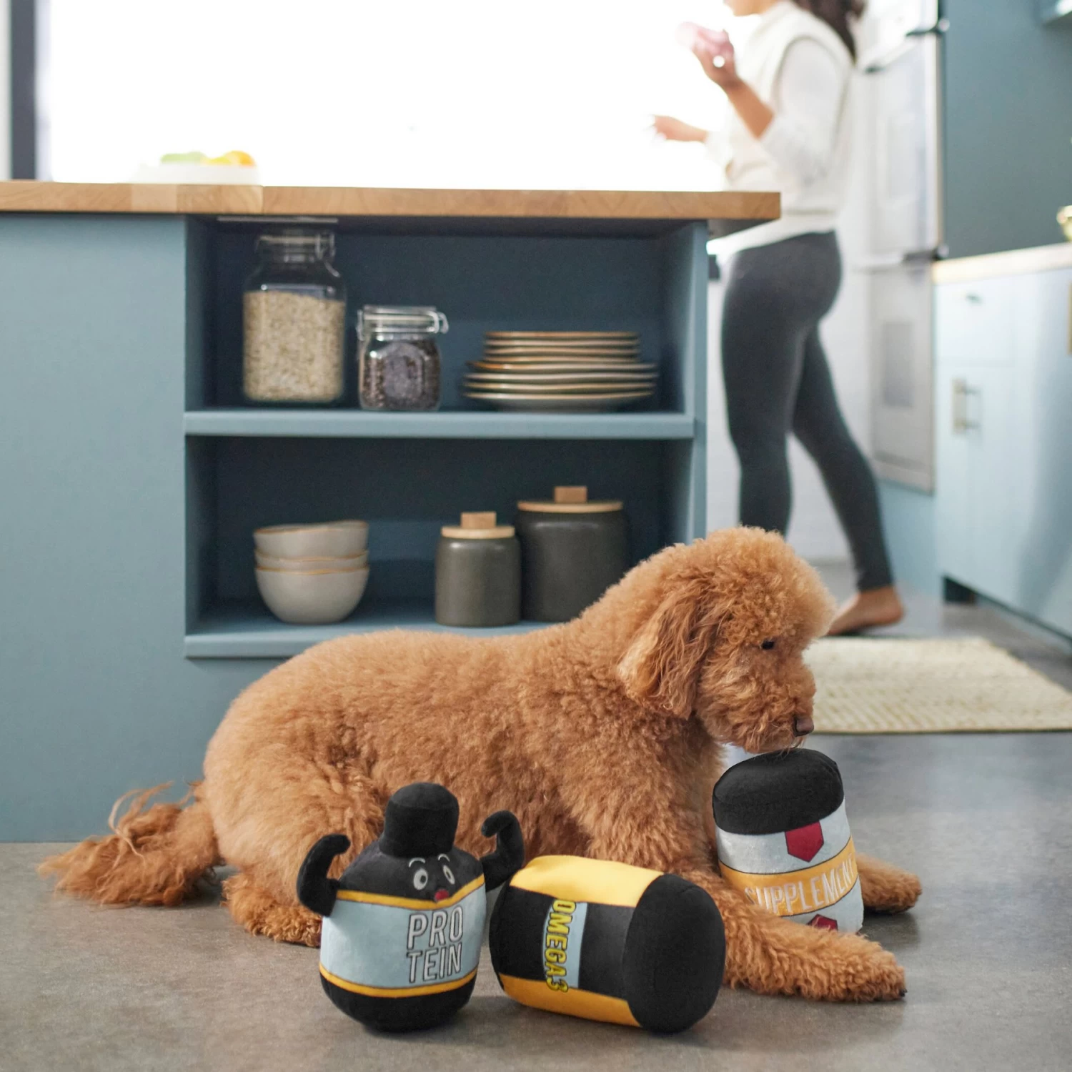 Frisco New Year, New Me Protein Powder Plush Squeaky Dog Toy 3 Frisco New Year, New Me Protein Powder Plush Squeaky Dog Toy - Image 3