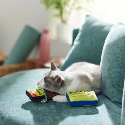 Frisco Protein Bar & Gym Membership Plush Cat Toy With Catnip 7 Frisco Protein Bar & Gym Membership Plush Cat Toy With Catnip -Frisco 288951 PT3. AC SS1800 V1638290814