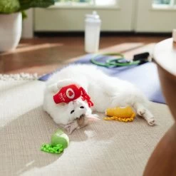 Frisco New Year, New Me Juice Cleanse Plush Cat Toy With Catnip -Frisco 288957 PT3. AC SS1800 V1638292099