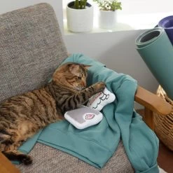 Frisco Scale & Message Bubble Plush Cat Toy With Catnip, 2 Count 5 Frisco Scale & Message Bubble Plush Cat Toy With Catnip, 2 Count -Frisco 288959 PT3. AC SS1800 V1638288401