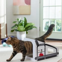 Frisco Treadmill Cardboard Cat House 7 Frisco Treadmill Cardboard Cat House -Frisco 288967 PT3. AC SS1800 V1638288289