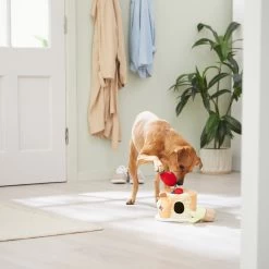 Frisco Brunch Pancake Hide & Seek Puzzle Plush Squeaky Dog Toy 7 Frisco Brunch Pancake Hide & Seek Puzzle Plush Squeaky Dog Toy -Frisco 297266 PT3. AC SS1800 V1642087986