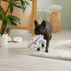 Frisco Brunch Word Bubble Plush Squeaky Dog Toy 7 Frisco Brunch Word Bubble Plush Squeaky Dog Toy -Frisco 297286 PT3. AC SS1800 V1642087915