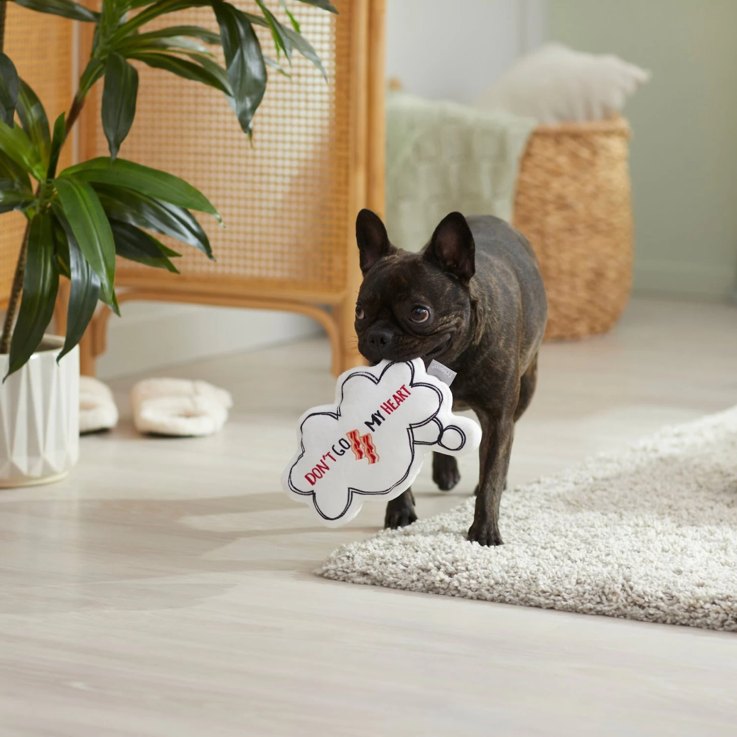 Frisco Brunch Word Bubble Plush Squeaky Dog Toy 4 Frisco Brunch Word Bubble Plush Squeaky Dog Toy - Image 4