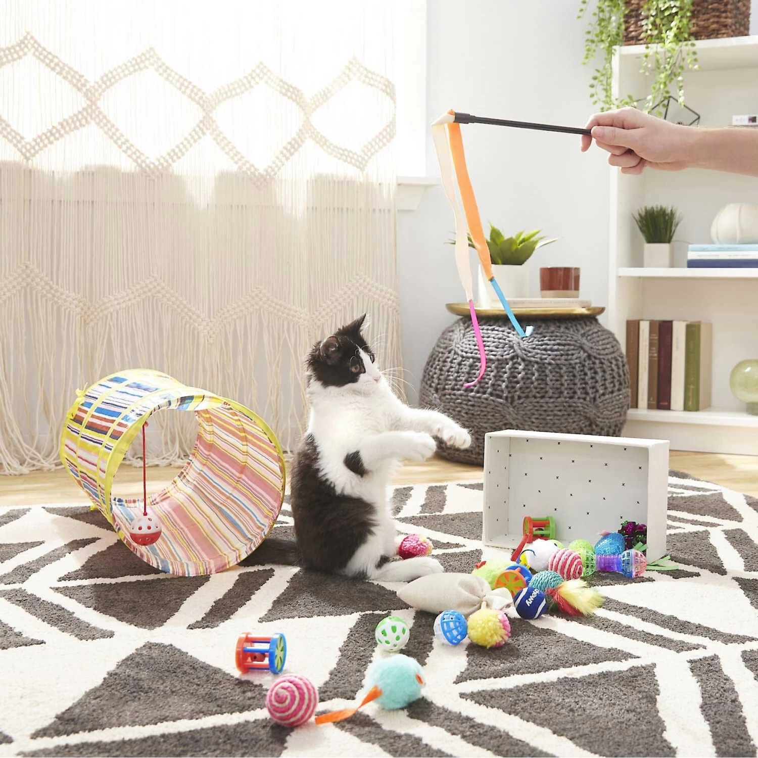 Sheba Meaty Tender Sticks Salmon Flavored Soft Adult Cat Treats & Frisco Plush, Teaser, Ball & Tunnel Variety Pack Cat Toy With Catnip 5 Sheba Meaty Tender Sticks Salmon Flavored Soft Adult Cat Treats & Frisco Plush, Teaser, Ball & Tunnel Variety Pack Cat Toy With Catnip - Image 5