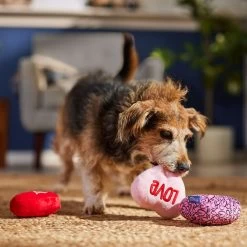 Frisco Valentine Hearts Plush Squeaky Dog Toy -Frisco 298919 PT3. AC SS1800 V1701365170