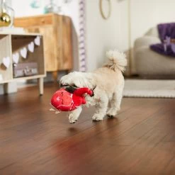 Frisco Valentine Anatomical Heart Plush Squeaky Dog Toy 6 Frisco Valentine Anatomical Heart Plush Squeaky Dog Toy -Frisco 298933 PT3. AC SS1800 V1638987632