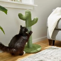 Frisco Cactus Cat Scratching Post & Frisco Dangly Avocado Buddy Plush Cat Toy With Catnip 10 Frisco Cactus Cat Scratching Post & Frisco Dangly Avocado Buddy Plush Cat Toy With Catnip -Frisco 303380 PT3. AC SS1800 V1623081149