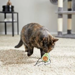 Frisco Cactus Cat Scratching Post & Frisco Dangly Avocado Buddy Plush Cat Toy With Catnip 13 Frisco Cactus Cat Scratching Post & Frisco Dangly Avocado Buddy Plush Cat Toy With Catnip -Frisco 303380 PT6. AC SS1800 V1623085642
