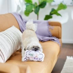 Frisco Easter Message Bubble Plush Squeaky Dog Toy 7 Frisco Easter Message Bubble Plush Squeaky Dog Toy -Frisco 304980 PT3. AC SS1800 V1642441439