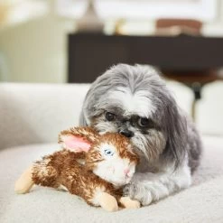 Frisco Realistic Plush Rabbit Plush Dog Toy, Small 5 Frisco Realistic Plush Rabbit Plush Dog Toy, Small -Frisco 316933 PT2. AC SS1800 V1641400634