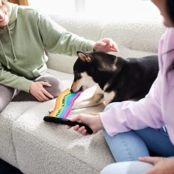 Frisco Pride Flag Flat Squeaky Dog Toy -Frisco 331640 PT3. AC SS1800 V1647355852