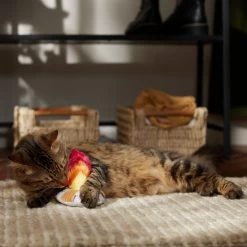 Frisco Fall Campfire Plush Cat Toy With Catnip -Frisco 344178 PT3. AC SS1800 V1659023182