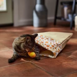 Frisco Fall Leaf Cat Sack Cat Toy With Catnip 8 Frisco Fall Leaf Cat Sack Cat Toy With Catnip -Frisco 344184 PT3. AC SS1800 V1659023183