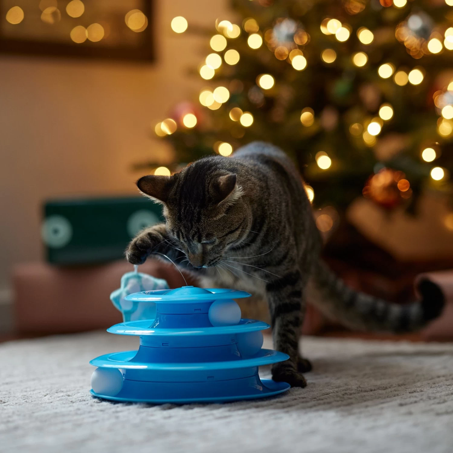 Frisco Winter Blue Cat Tracks Cat Toy With Catnip 3 Frisco Winter Blue Cat Tracks Cat Toy With Catnip - Image 3