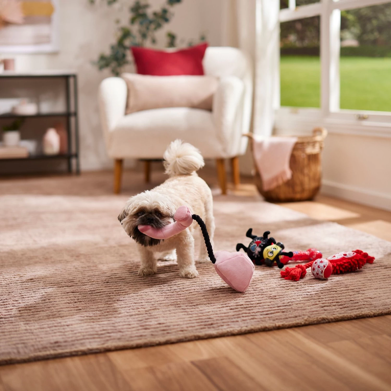 Frisco Valentine Rope, TPR & Plush Variety Pack Dog Toy 3 Frisco Valentine Rope, TPR & Plush Variety Pack Dog Toy - Image 3