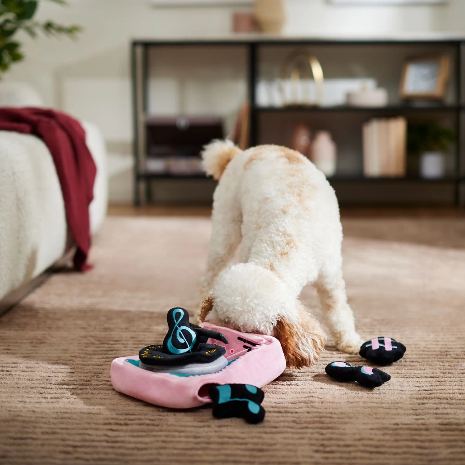 Frisco Valentine Love Song Record Player Hide & Seek Puzzle Plush Squeaky Dog Toy 4 Frisco Valentine Love Song Record Player Hide & Seek Puzzle Plush Squeaky Dog Toy - Image 4