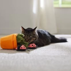 Frisco Spring Potted Plant And Ladybugs Interactive Plush Cat Toy With Catnip 8 Frisco Spring Potted Plant And Ladybugs Interactive Plush Cat Toy With Catnip -Frisco 541542 PT3. AC SS1800 V1671814448