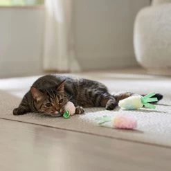 Frisco Easter Carrot Plush Cat Toy With Catnip 6 Frisco Easter Carrot Plush Cat Toy With Catnip -Frisco 550470 PT4. AC SS1800 V1702500564