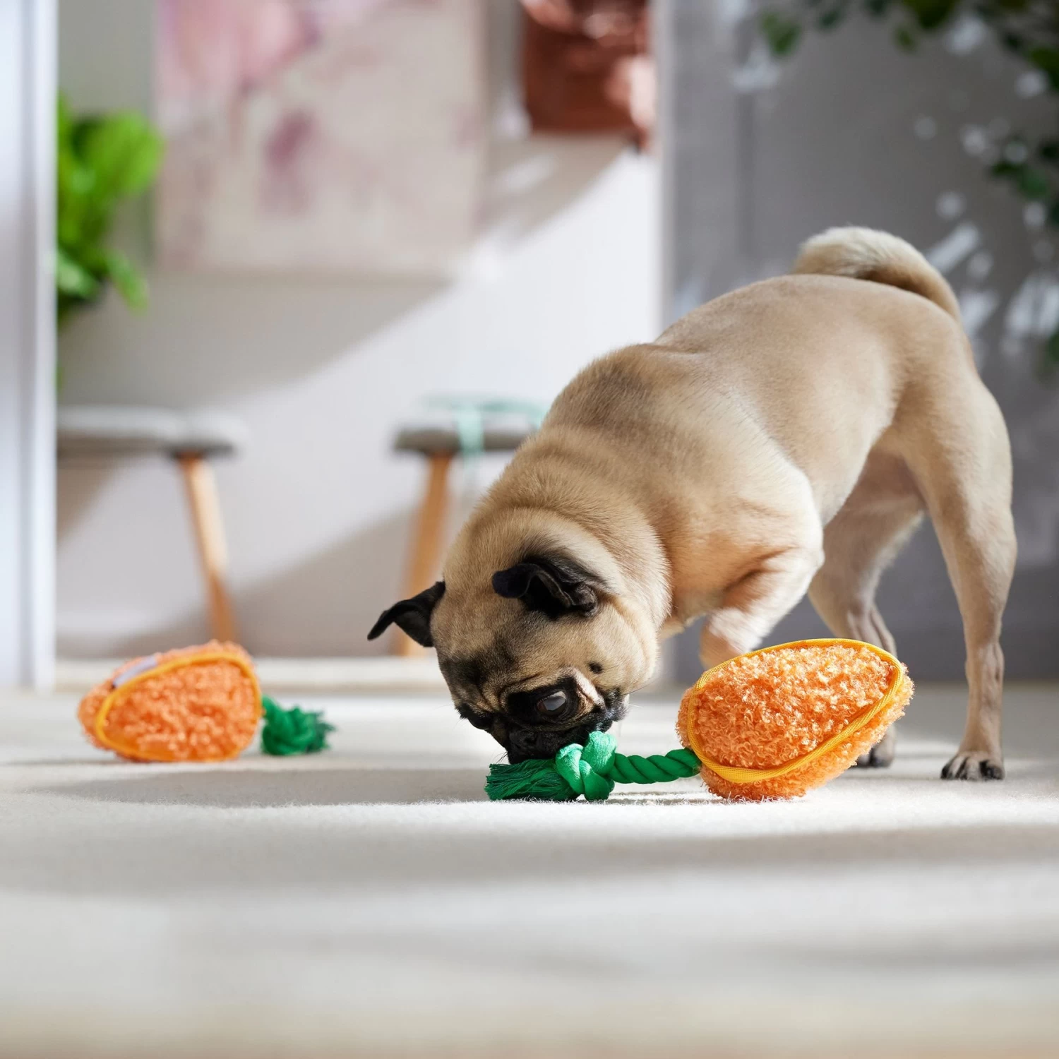 Frisco Easter Carrot Plush With Rope Squeaky Dog Toy 4 Frisco Easter Carrot Plush With Rope Squeaky Dog Toy - Image 4