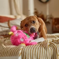 Frisco Halloween Zany Monster Muscle Plush Squeaky Dog Toy 8 Frisco Halloween Zany Monster Muscle Plush Squeaky Dog Toy -Frisco 668166 PT3. AC SS1800 V1689271301