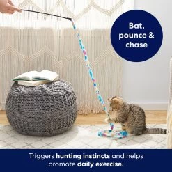 Frisco Fabric Teaser Wand Cat Toy & Frisco Bird With Feathers Teaser Wand Cat Toy With Catnip -Frisco 962094 PT3. AC SS1800 V1694782977