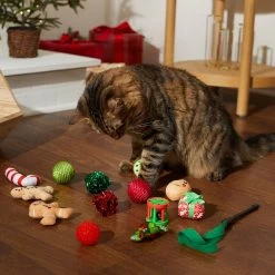 Frisco Holiday Festive Red Variety Pack Gift Box Cat Toy With Catnip, 14 Count & Frisco Holiday Mice Cat Toy With Catnip, 5 Count 10 Frisco Holiday Festive Red Variety Pack Gift Box Cat Toy With Catnip, 14 Count & Frisco Holiday Mice Cat Toy With Catnip, 5 Count -Frisco 986270 PT4. AC SS1800 V1698258464