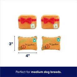 Frisco Holiday House Hide & Seek Puzzle Plush Squeaky Dog Toy & Frisco Holiday North Pole Mailbox Hide & Seek Puzzle Plush Squeaky Dog Toy -Frisco 986286 PT7. AC SS1800 V1698258056