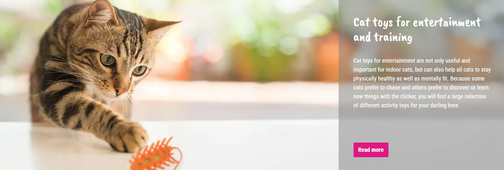 Frisco -Frisco zsfsdf